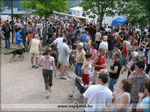 Fotó: Simon Sándor, www.nepijatek.hu 