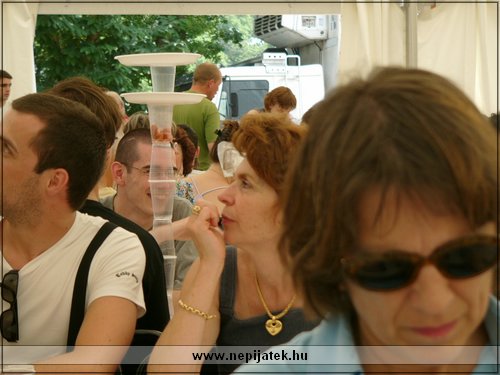 Fotó: Simon Sándor, www.nepijatek.hu 