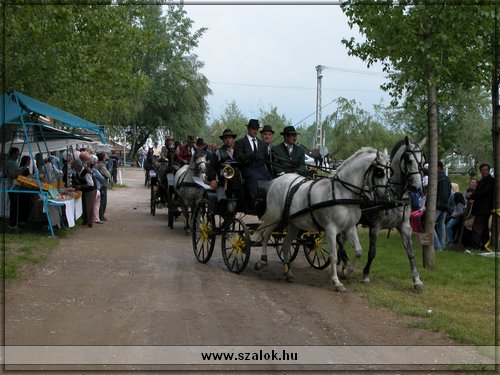 Fot: Szekrnyes Istvn, www.szalok.hu