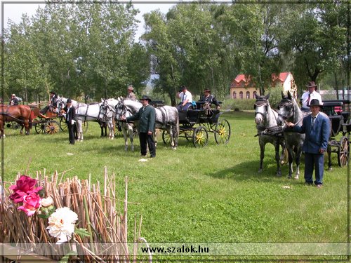 Fot: Szekrnyes Istvn, www.szalok.hu